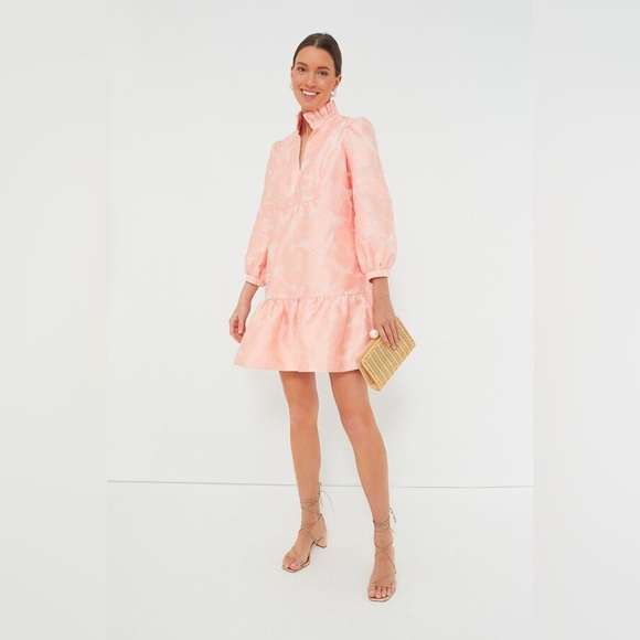 Tuckernuck Bellini Fil Coupe Palmerston Dress M NWT Pink Ruffle Party - Picture 2 of 14